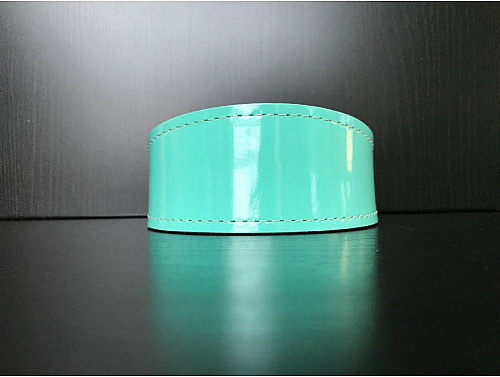 Lined Mint Gloss - Whippet Leather Collar - Size M